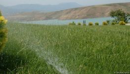 Azerbaijan to build more reservoirs (PHOTO)