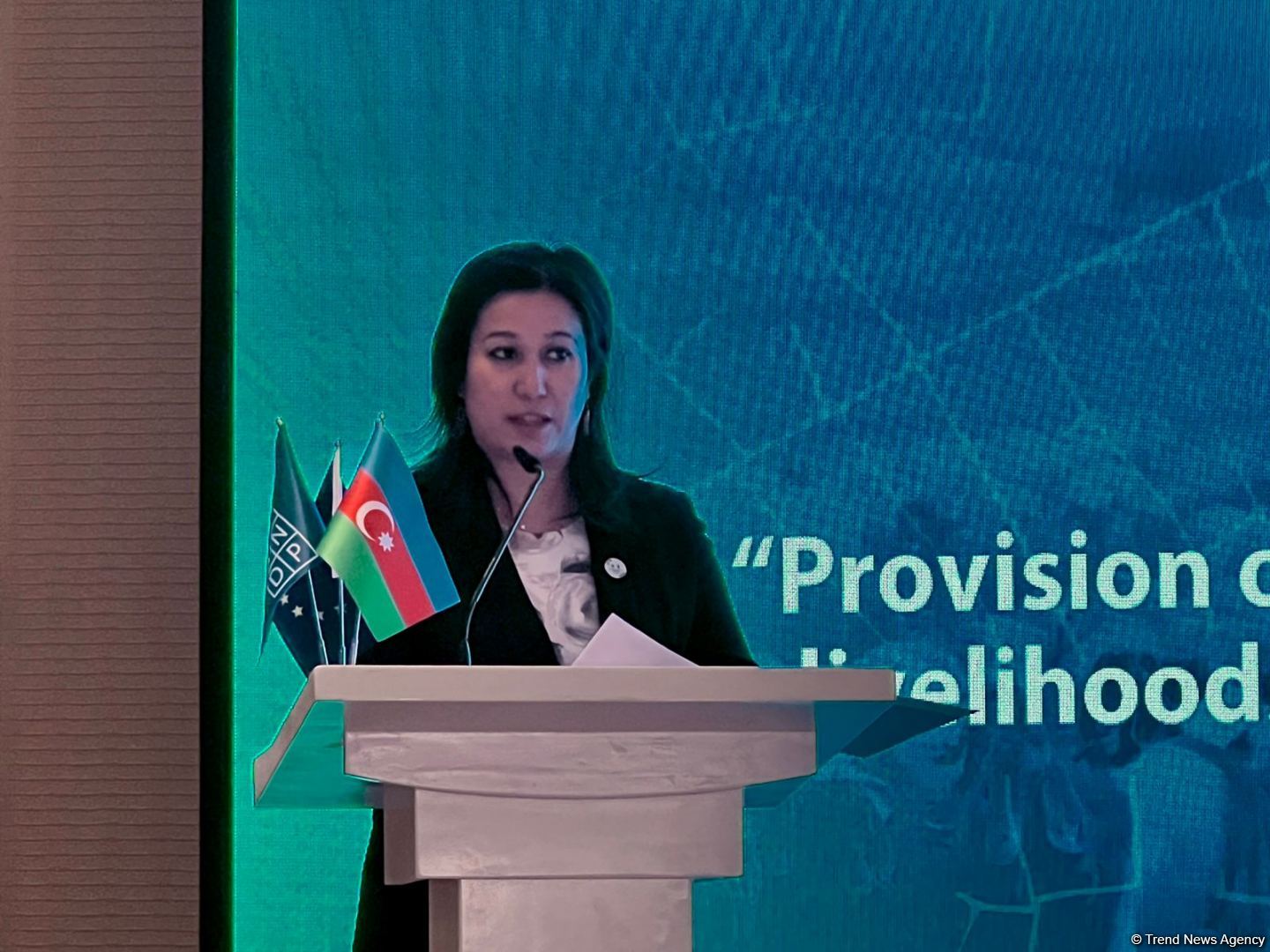 UNDP talks future benefits from accelerating demining process in Azerbaijan's Karabakh