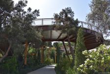 Baku residents thank President Ilham Aliyev for opening of new "Chambarakand" park (PHOTO/VIDEO)