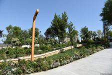 Baku residents thank President Ilham Aliyev for opening of new "Chambarakand" park (PHOTO/VIDEO)