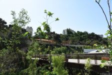 Baku residents thank President Ilham Aliyev for opening of new "Chambarakand" park (PHOTO/VIDEO)