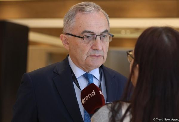 Azerbaijan’s efforts to establish peace in region can serve as example for other countries - BSEC (PHOTO)