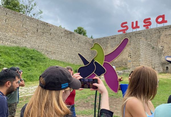 Visit of foreign travelers to Azerbaijan's liberated lands important to inform world about Armenian vandalism - MPs