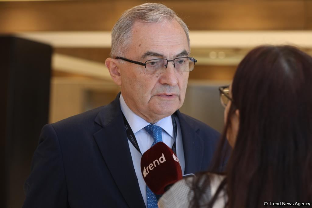 Azerbaijan’s efforts to establish peace in region can serve as example for other countries - BSEC (PHOTO)