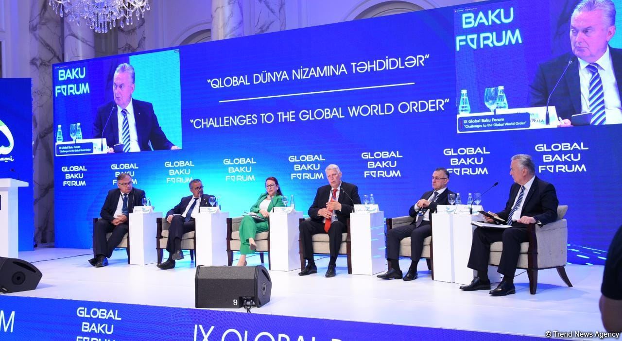 IX Global Baku Forum participants discuss health governance issues (PHOTO)