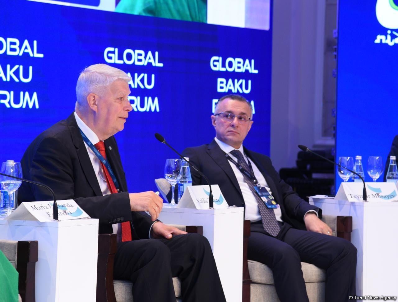 IX Global Baku Forum participants discuss health governance issues (PHOTO)