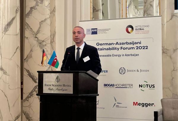 Azerbaijan's Karabakh has great potential for solar energy development - deputy minister