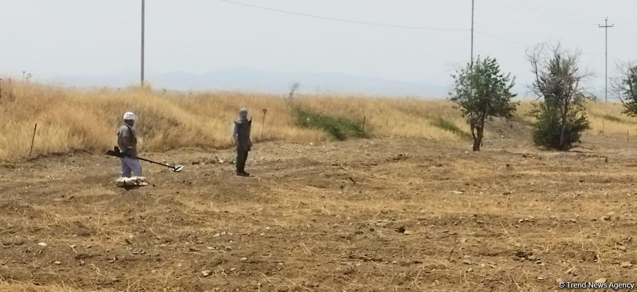 Visit of Azerbaijani political parties representatives to liberated territories begins (PHOTO)