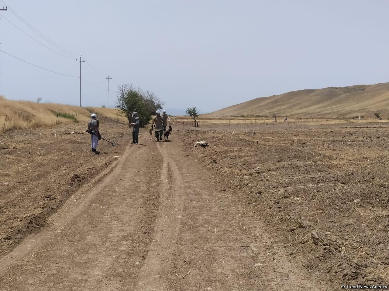 Visit of Azerbaijani political parties representatives to liberated territories begins (PHOTO)