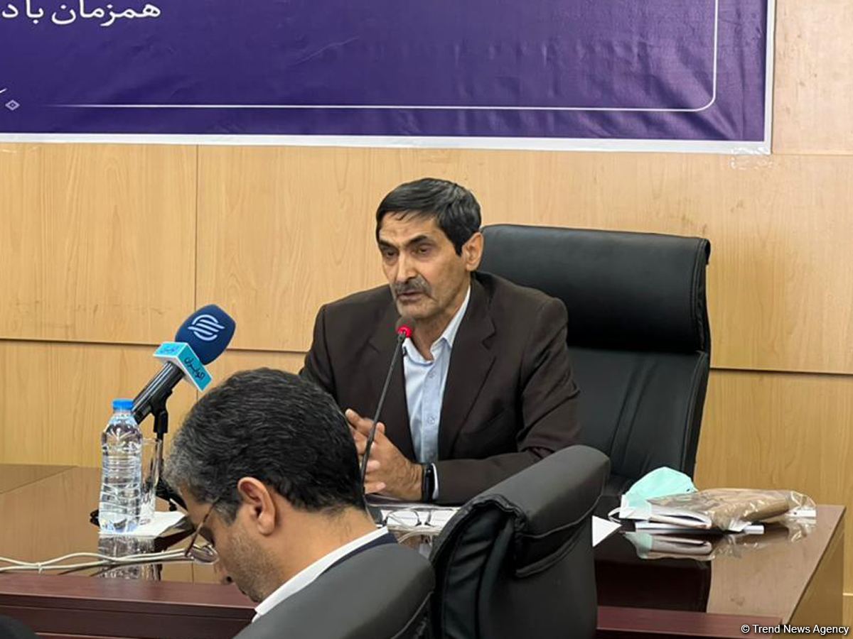 Iran seeks to sell all domestically manufactured cars