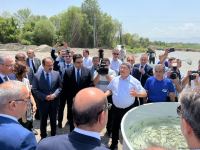 Tiny brook trout fishes released into Hakari river in Azerbaijan's Zangilan (PHOTO)