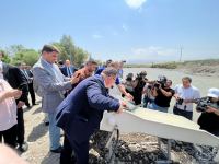 Tiny brook trout fishes released into Hakari river in Azerbaijan's Zangilan (PHOTO)