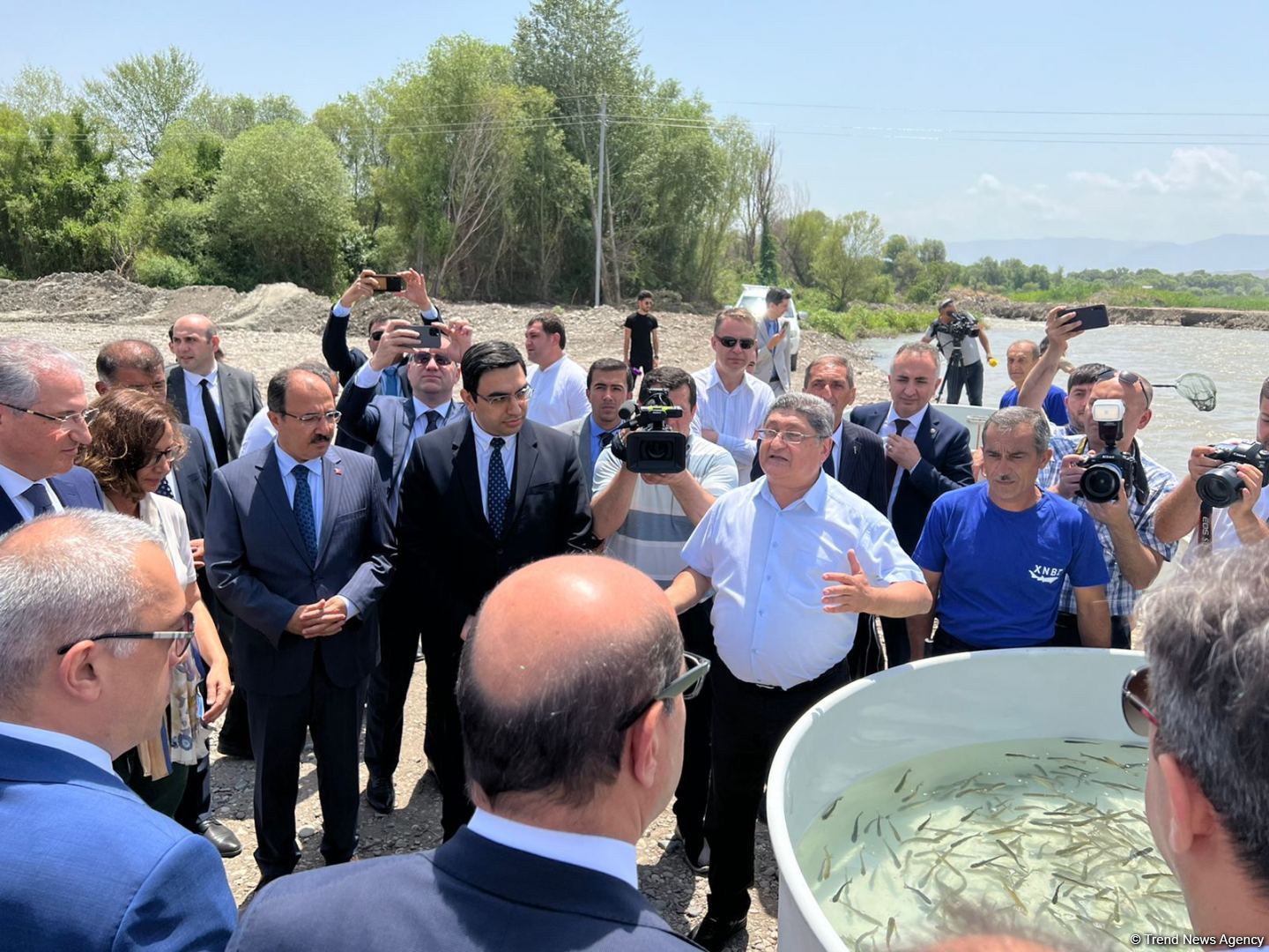 Tiny brook trout fishes released into Hakari river in Azerbaijan's Zangilan (PHOTO)