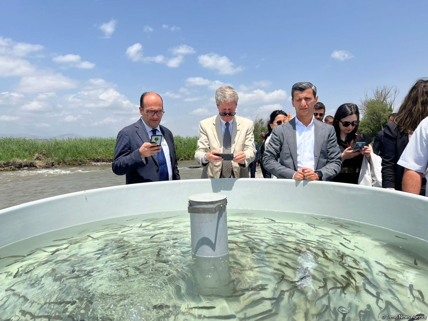 Tiny brook trout fishes released into Hakari river in Azerbaijan's Zangilan (PHOTO)