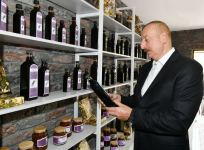 President Ilham Aliyev views landscaping work carried out in Baku's Ramana settlement (PHOTO/VIDEO)