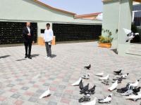 President Ilham Aliyev views landscaping work carried out in Baku's Ramana settlement (PHOTO/VIDEO)