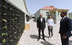 President Ilham Aliyev views landscaping work carried out in Baku's Ramana settlement (PHOTO/VIDEO)