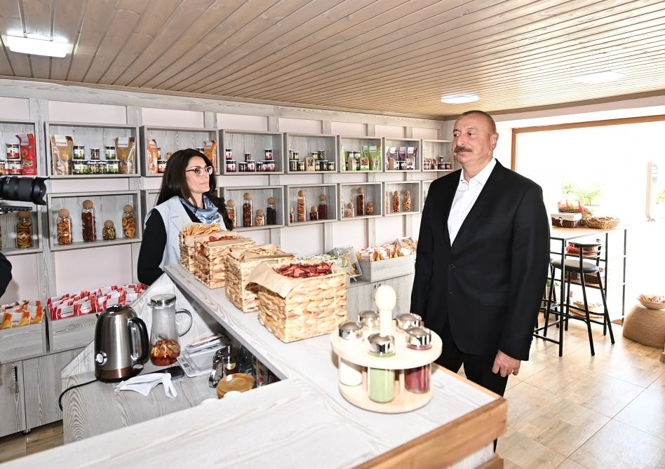 President Ilham Aliyev views landscaping work carried out in Baku's Ramana settlement (PHOTO/VIDEO)