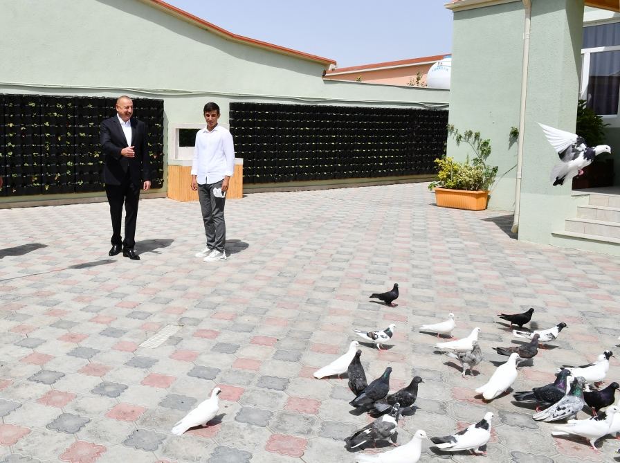 President Ilham Aliyev views landscaping work carried out in Baku's Ramana settlement (PHOTO/VIDEO)