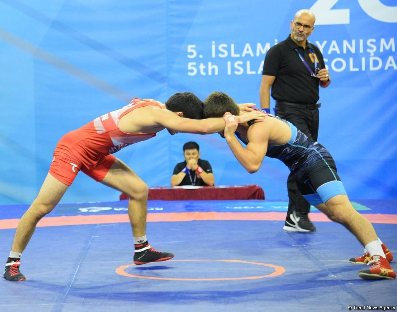 Azerbaijani wrestler grabs silver medal at V Islamic Solidarity Games (PHOTO)