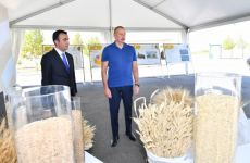 President Ilham Aliyev gets acquainted with activities of “Aghsu Agropark” (PHOTO/VIDEO)