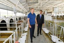 President Ilham Aliyev gets acquainted with activities of “Aghsu Agropark” (PHOTO/VIDEO)