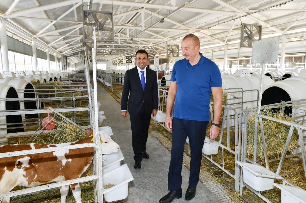 President Ilham Aliyev gets acquainted with activities of “Aghsu Agropark” (PHOTO/VIDEO)