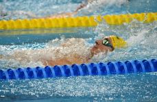 Azerbaijani swimmers reach finals at V Islamic Solidarity Games (PHOTO)