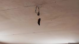 Another Armenian barbarism: walls of house smeared with pig blood in Azerbaijan's Zabukh (PHOTO)