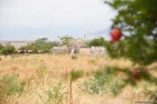 Famous worldwide travelers shocked by Armenia's crimes in Azerbaijan's Aghdam (PHOTO)