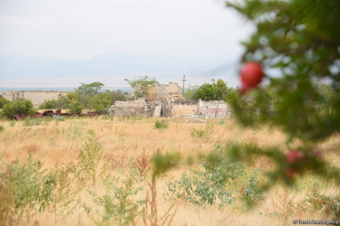 Famous worldwide travelers shocked by Armenia's crimes in Azerbaijan's Aghdam (PHOTO)