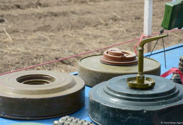 Azerbaijani NGOs issue statement in connection with Armenian landmine terror