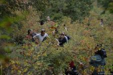 Foreign travelers visit Azykh cave in Azerbaijan's Khojavand (PHOTO)