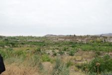 Foreign travelers get acquainted with Azerbaijan's Fuzuli city (PHOTO)