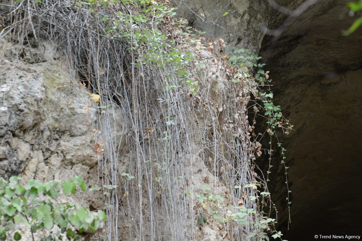 Foreign travelers visit Azykh cave in Azerbaijan's Khojavand (PHOTO)