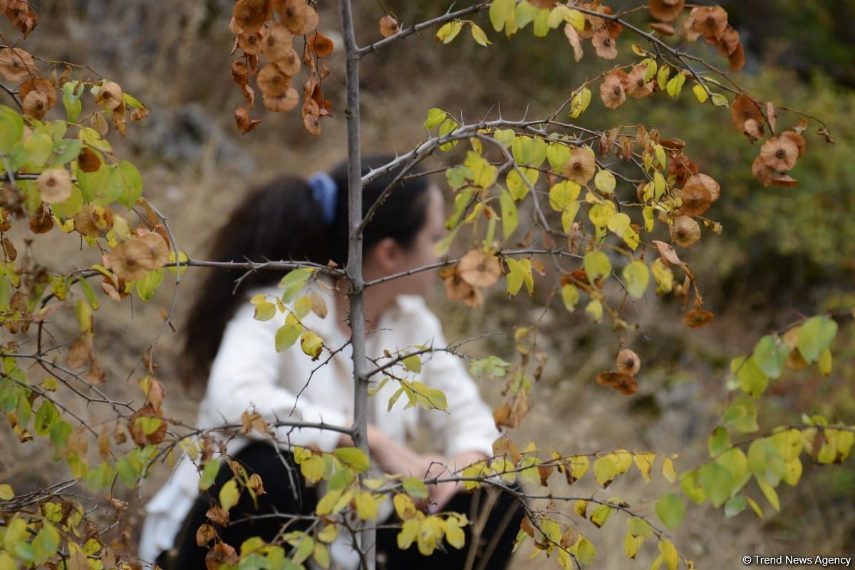 Foreign travelers visit Azykh cave in Azerbaijan's Khojavand (PHOTO)