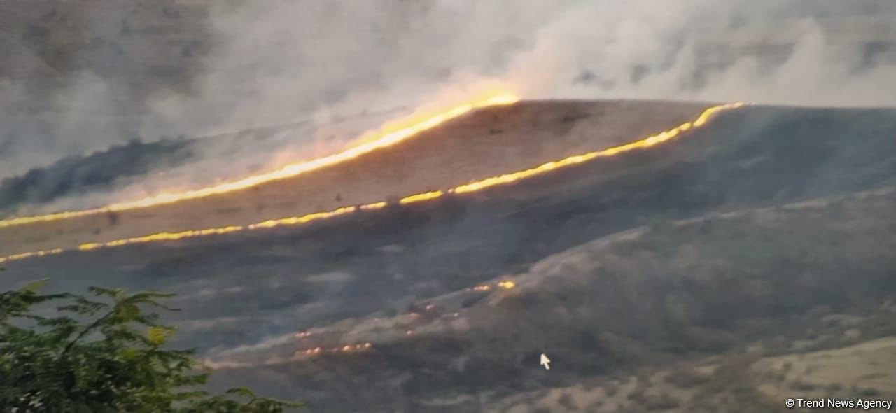 Israel asks Azerbaijan for help in extinguishing forest fires