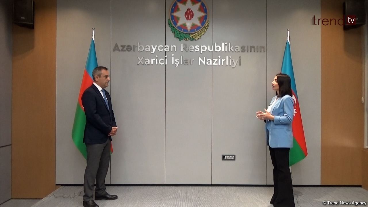 Azerbaijan's MFA talks true motives of Armenia's military provocations (PHOTO/VIDEO)