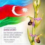 First Vice-President Mehriban Aliyeva: I ask God's mercy for our martyrs, and wish strength and patience to their families (PHOTO)