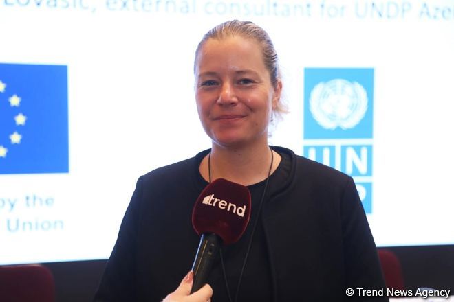 More funding needed for social enterprises in Azerbaijan - UNDP expert