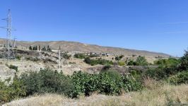 Azerbaijani servicemen share memories about liberation of Sugovushan (PHOTO/VIDEO)