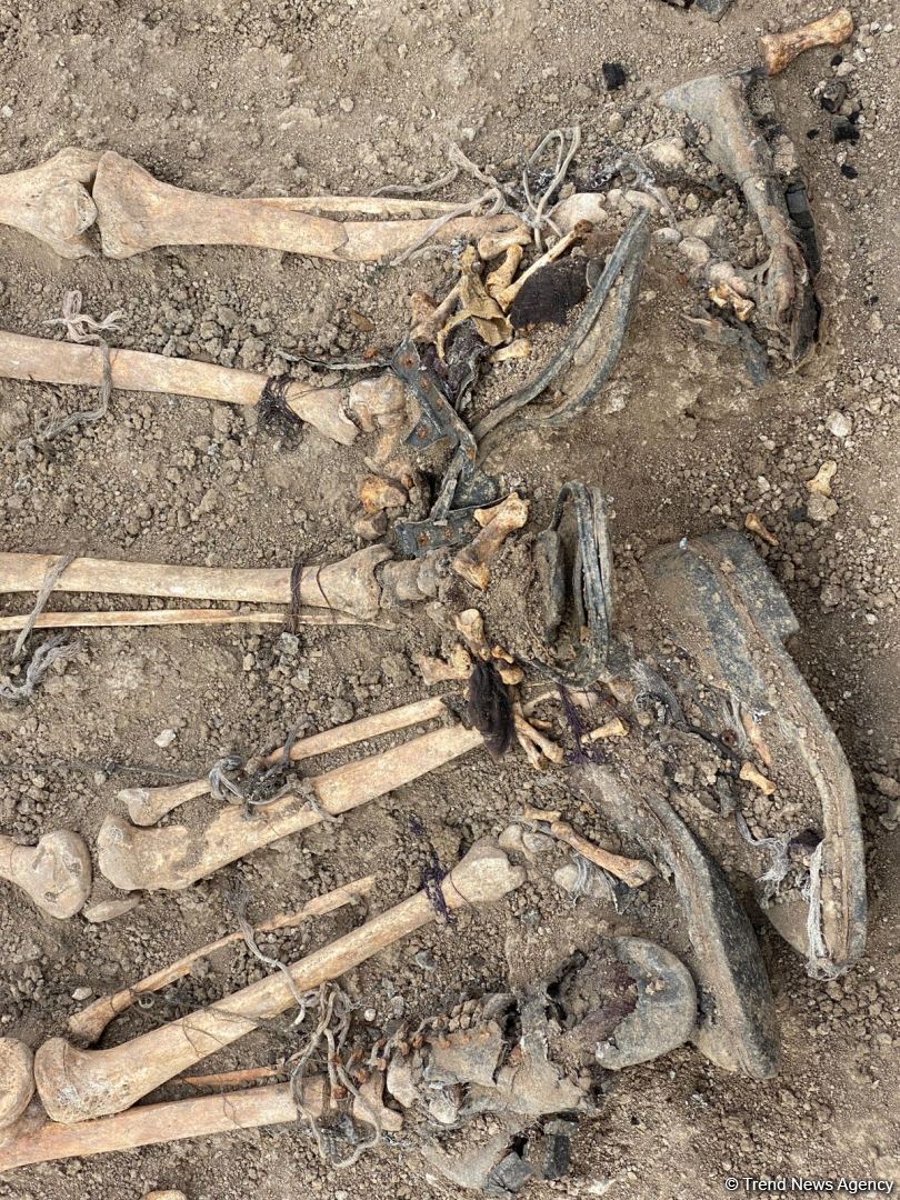 Another mass grave discovered in Azerbaijan's Khojavand (PHOTO)