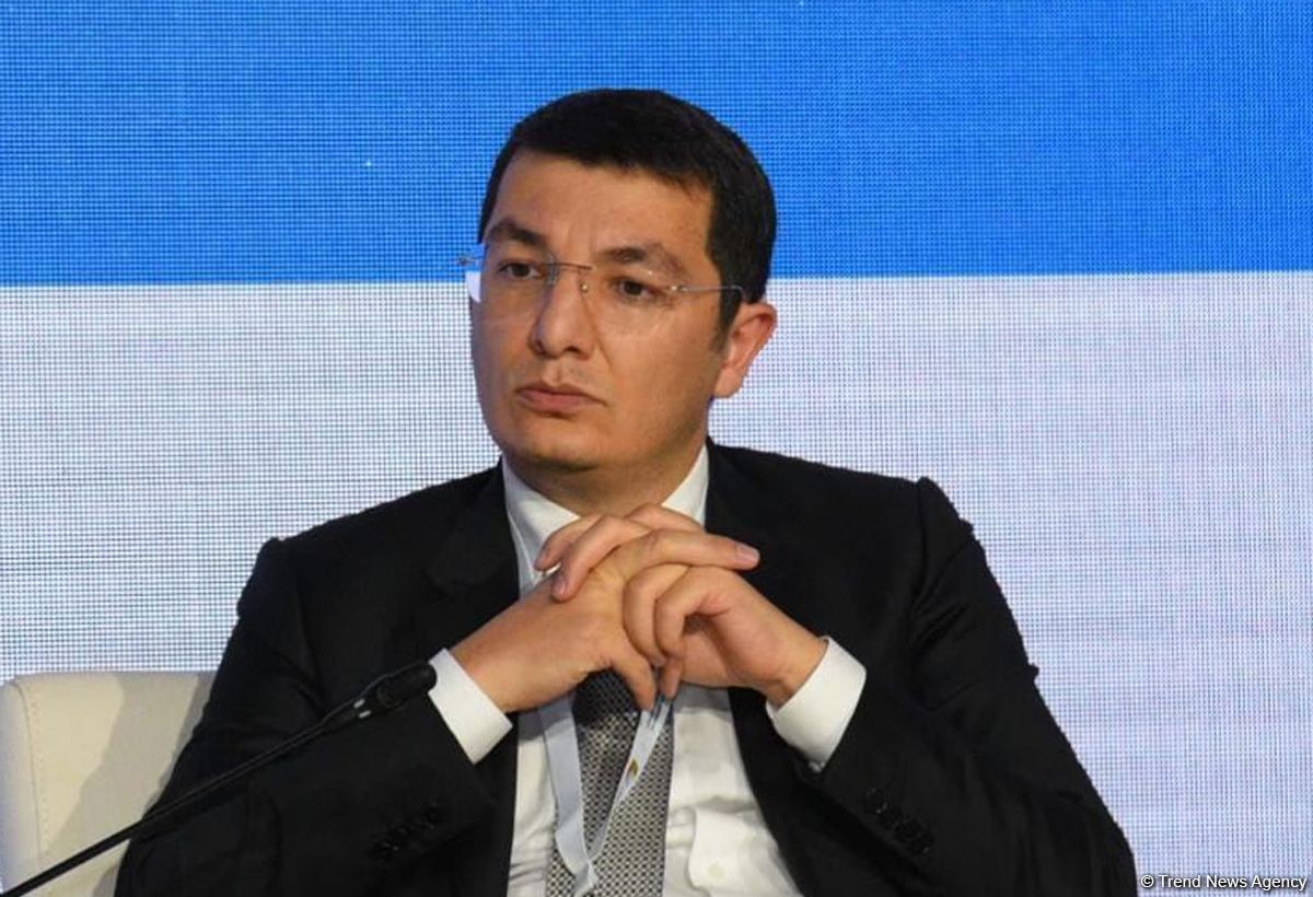 Bill on public-private partnership in Azerbaijan to resolve number of issues – official