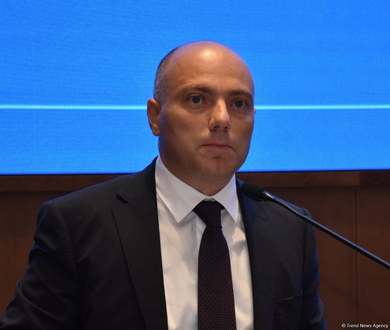Azerbaijan monitors cultural monuments on its liberated territories