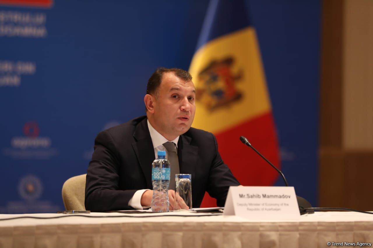 Azerbaijan, Moldova developing economic relations – official