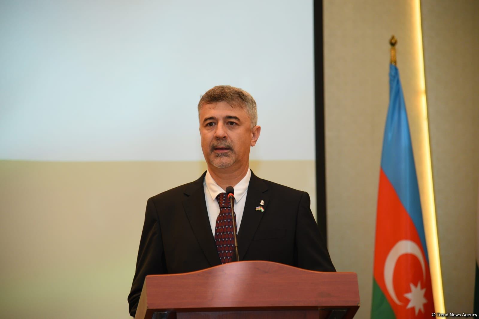Hungary interested in soonest integration of Azerbaijani resources into supply chain