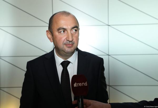 "Friendship Forest" in Azerbaijan's Jabrayil to cover area of 20 hectares - deputy minister