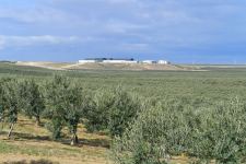 President Ilham Aliyev attends opening of olive oil and table olive products processing plant in Zira settlement (PHOTO/VIDEO)