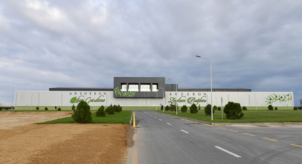 President Ilham Aliyev attends opening of olive oil and table olive products processing plant in Zira settlement (PHOTO/VIDEO)