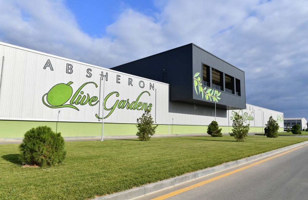 President Ilham Aliyev attends opening of olive oil and table olive products processing plant in Zira settlement (PHOTO/VIDEO)